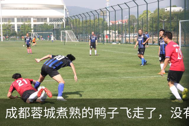 成都蓉城煮熟的鸭子飞走了，没有盯死这位津门虎锋霸，导致球队被绝杀